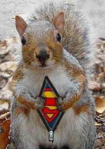 Neil's Secret Identity